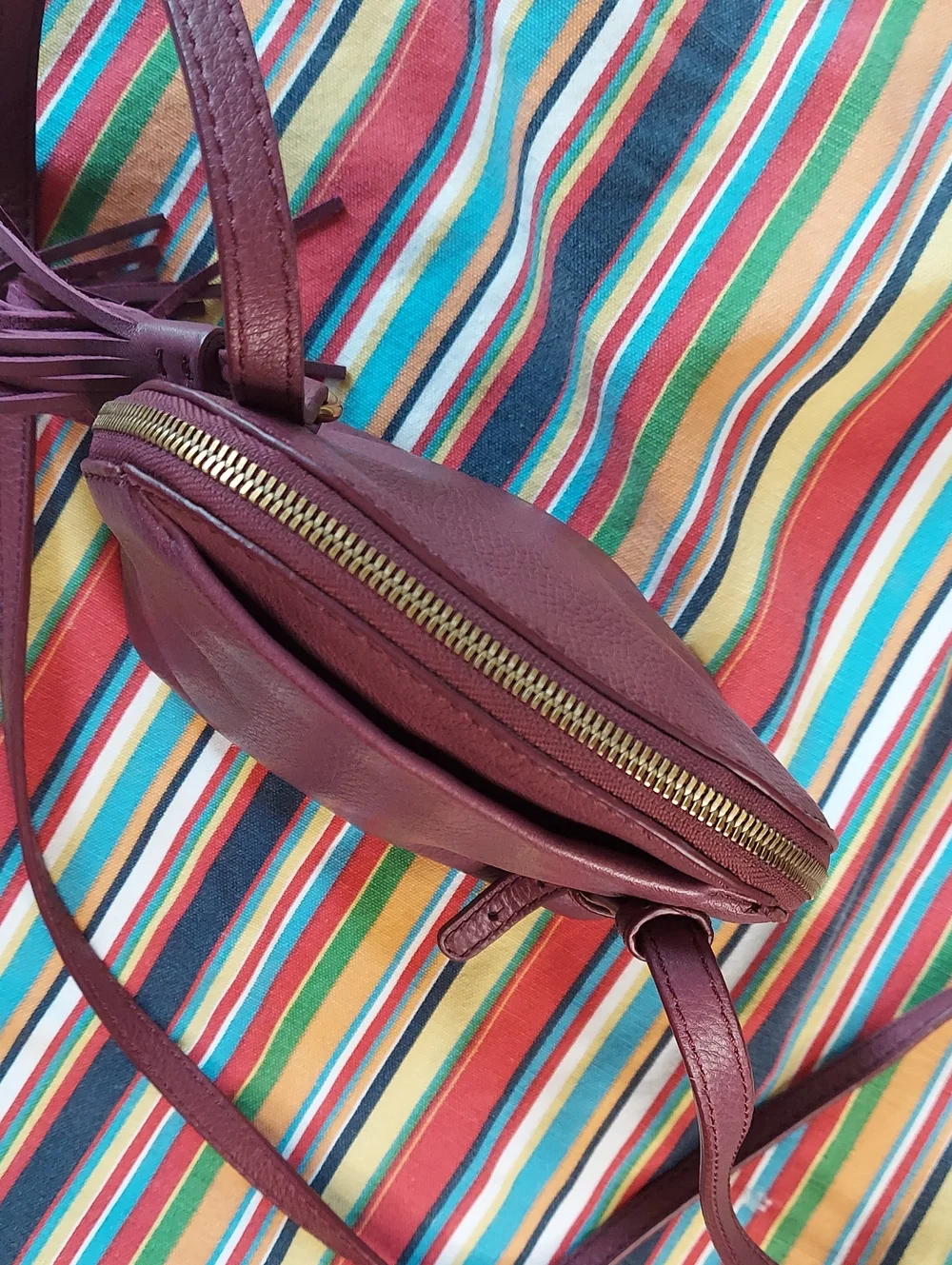 Gorgeous HOBO Leather Crossbody - Purple